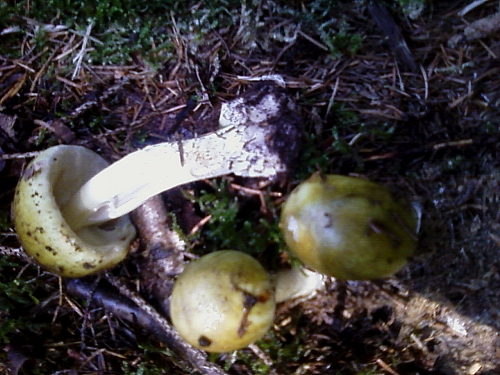 Piu'' forti di Lucifero,la mega caldissima alta pressione