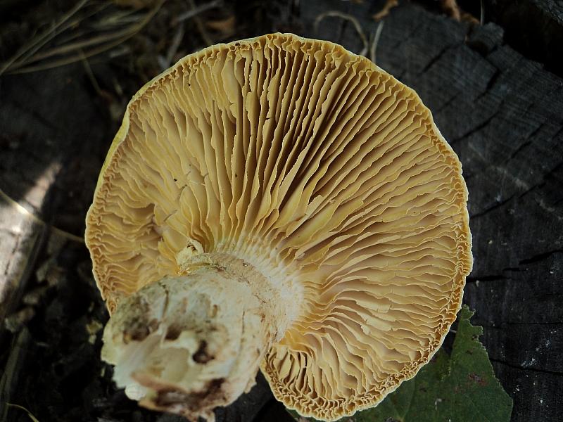 Piu'' forti di Lucifero,la mega caldissima alta pressione