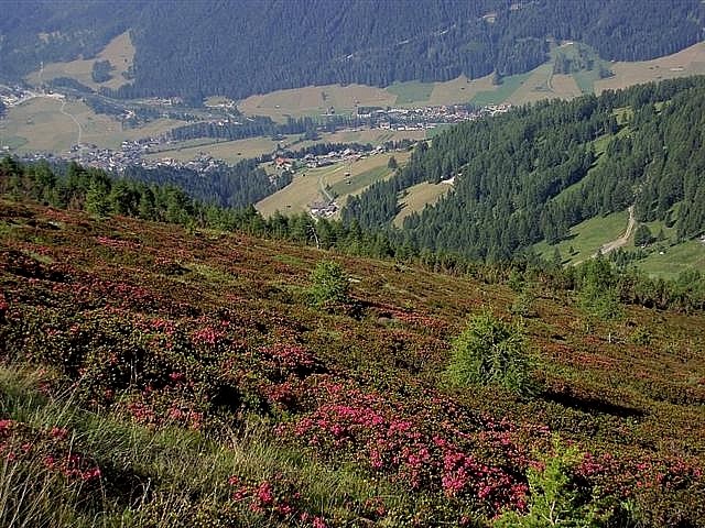 Da Sesto Pusteria al rifugio Silian