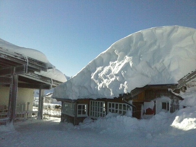 Campiglio by Looker oggi