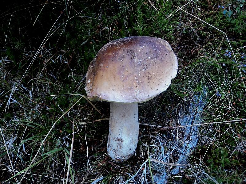 Piu'' forti di Lucifero,la mega caldissima alta pressione