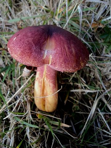 Ottobre trentino...bellezze montane