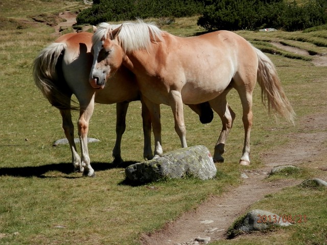 Val di fumo in questo caldo Agosto