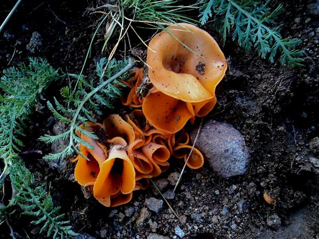 Ottobre trentino...bellezze montane