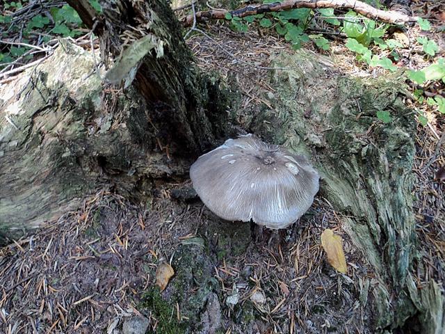 Piu'' forti di Lucifero,la mega caldissima alta pressione