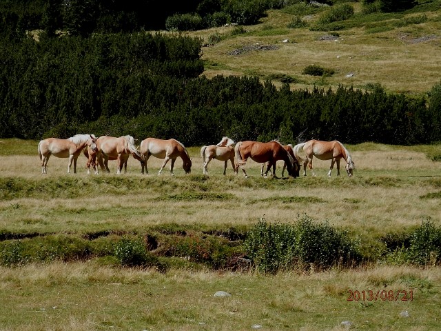 Val di fumo in questo caldo Agosto