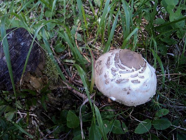 Ferragosto in famiglia