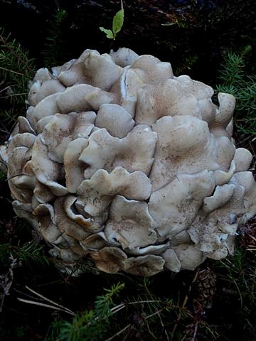 Piu'' forti di Lucifero,la mega caldissima alta pressione