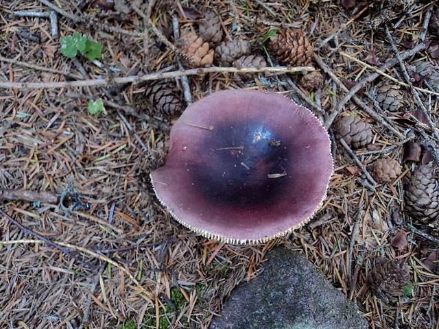 Ferragosto in famiglia