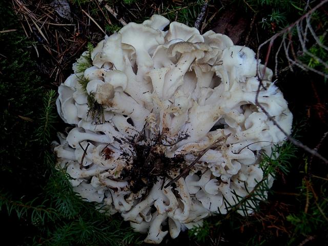 Piu'' forti di Lucifero,la mega caldissima alta pressione