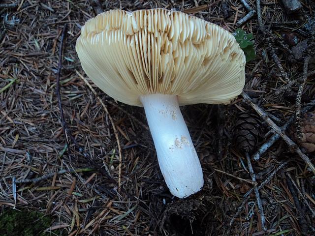 Ferragosto in famiglia