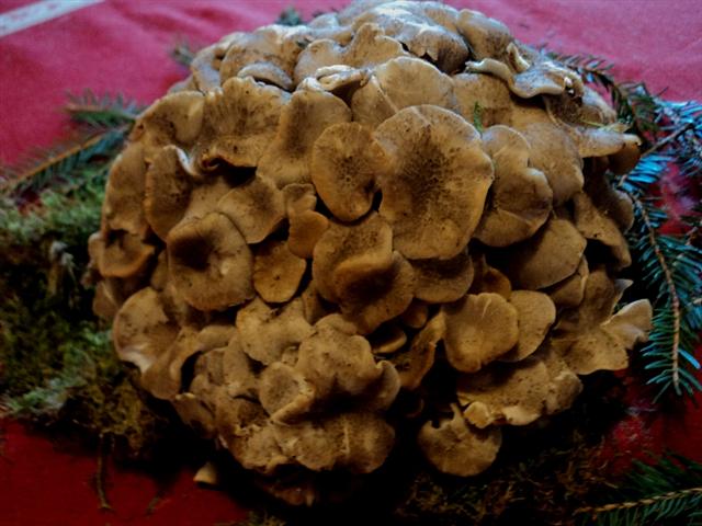 Piu'' forti di Lucifero,la mega caldissima alta pressione