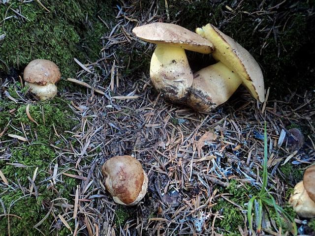 Ferragosto in famiglia