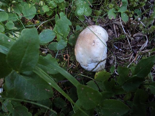 Ferragosto in famiglia