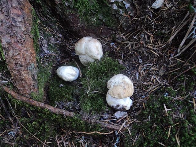 Ferragosto in famiglia