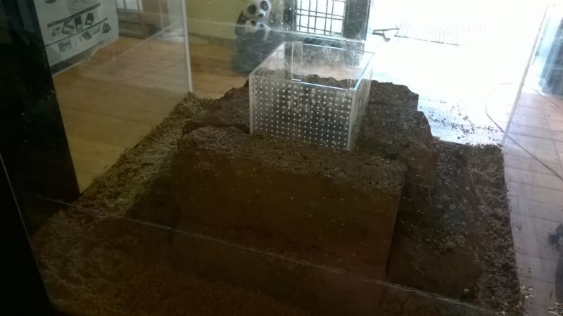 Il terracquario dell'' Oasi WWF Stagni di Casale (Vicenza)