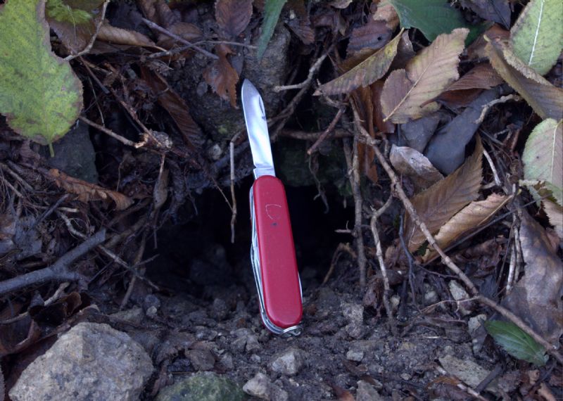 Identificazione fatte, tane... e un''orma