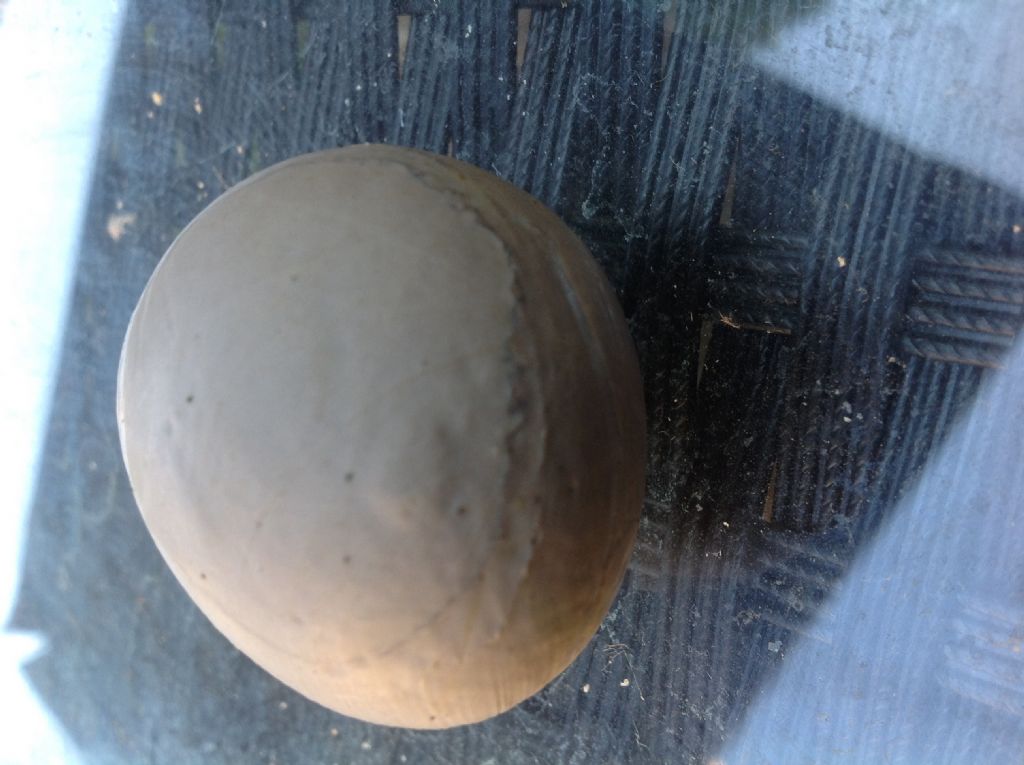 Pietra strana da identificare - legno silicizzato?