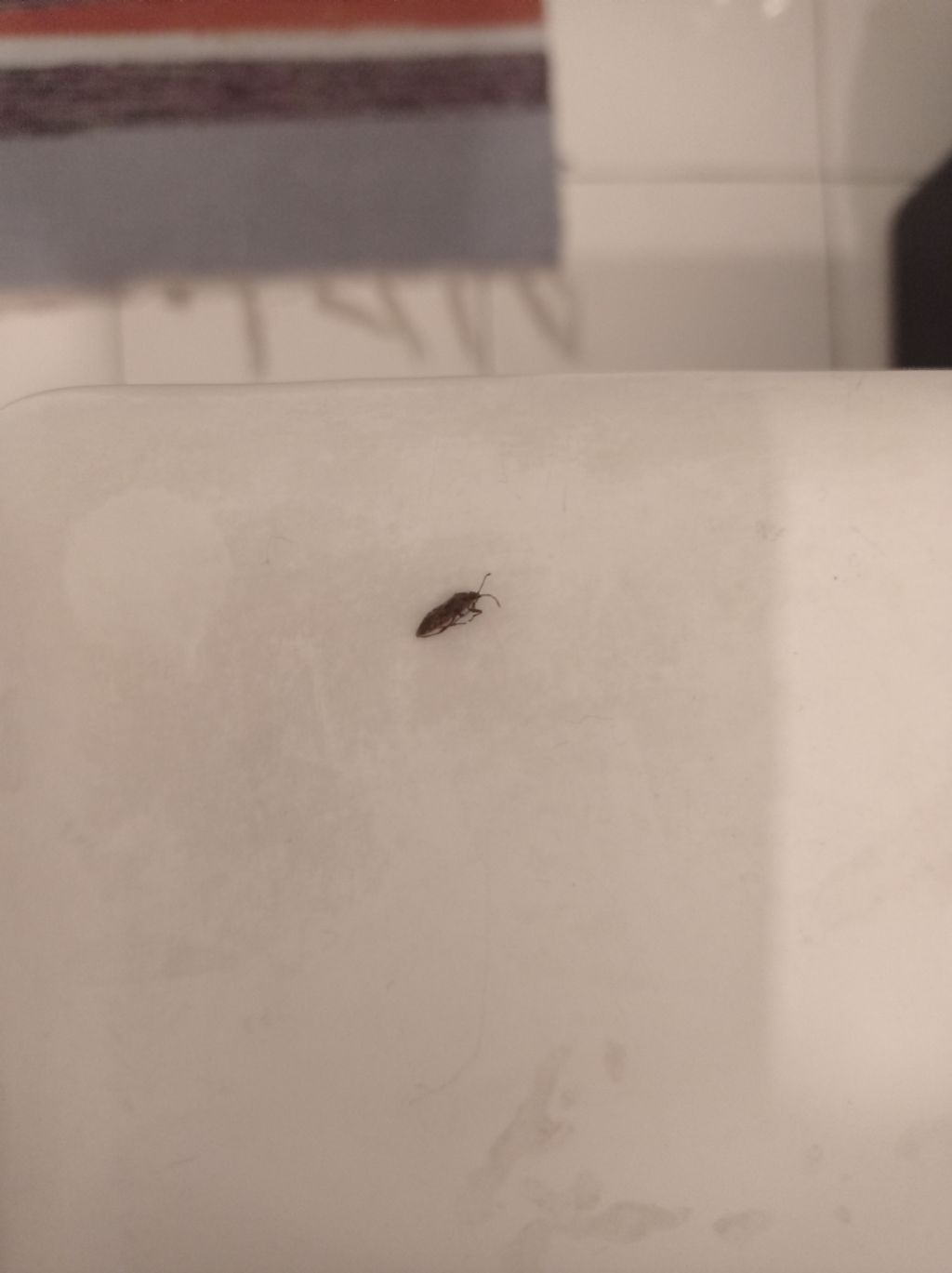 Individuazione insetto