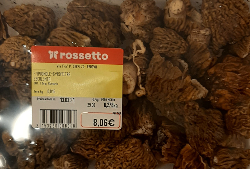 Funghi velenosi al supermercato? (Gyromitra)