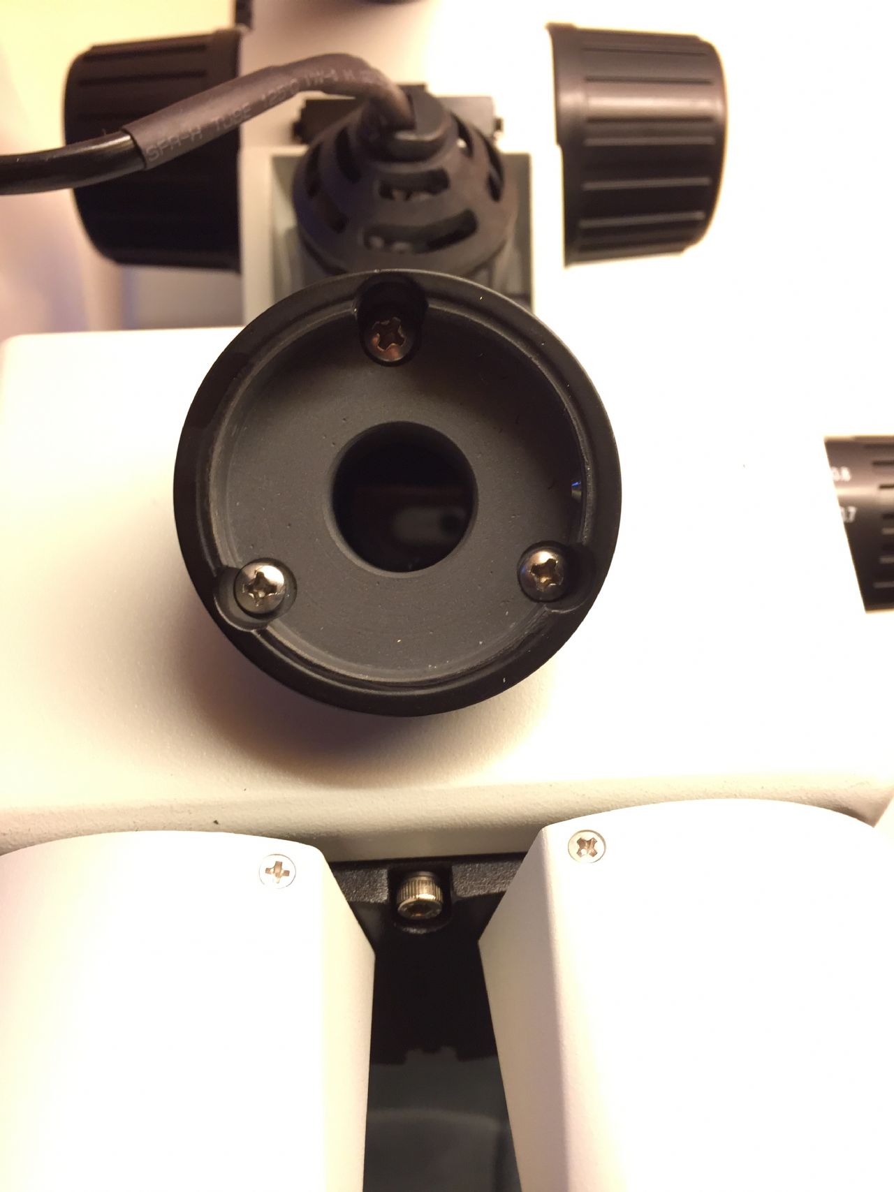 Reflex Nikon + stereoscopio trinoculare