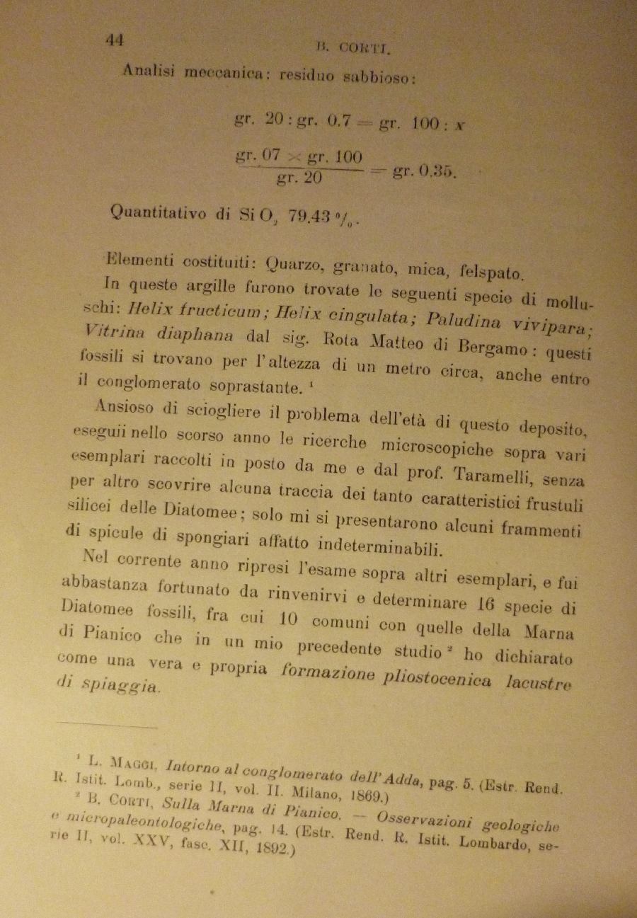 Per Snailbrianza ( soprattutto)