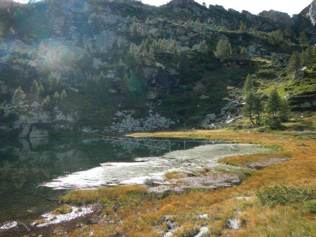 Laghetti alpini: protezione e studio