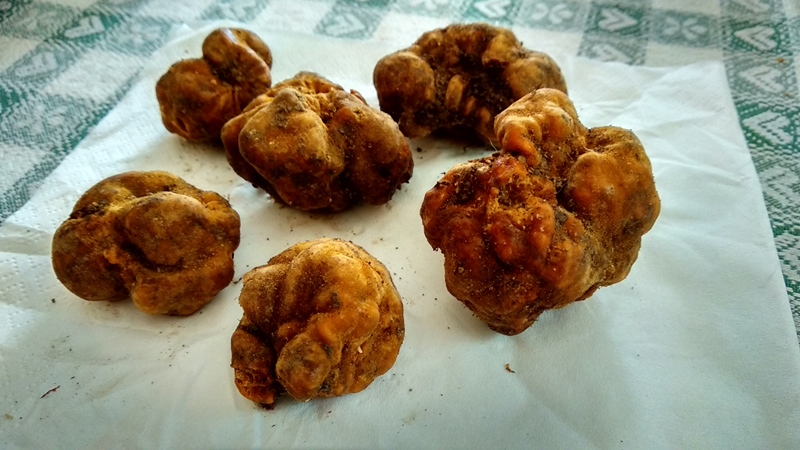 Tartufi da identificare