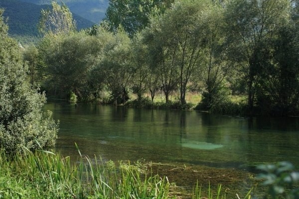 Glossosomatidae del fiume Tirino c/o Capestrano (AQ)