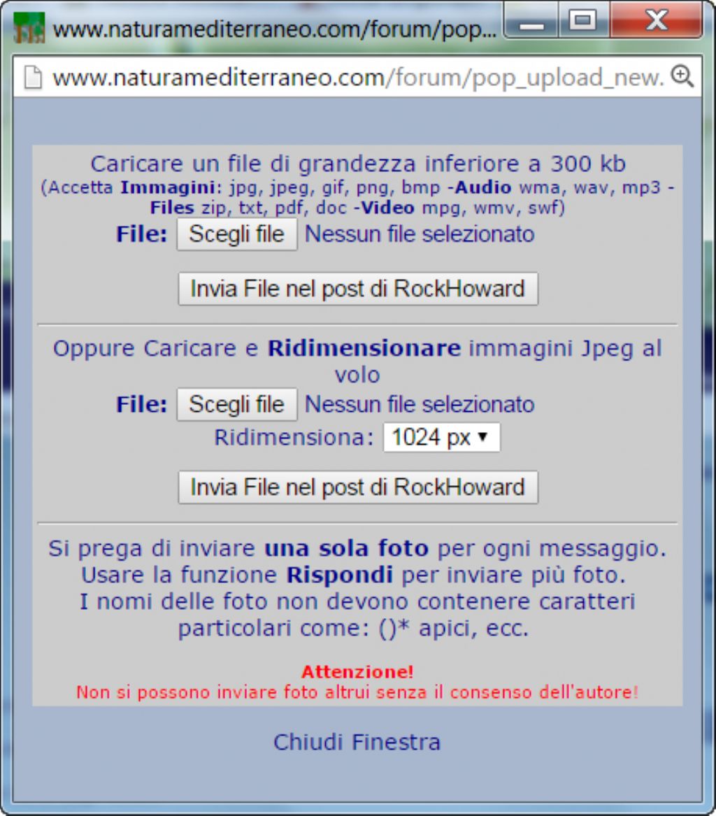 Aiuto per inserire foto