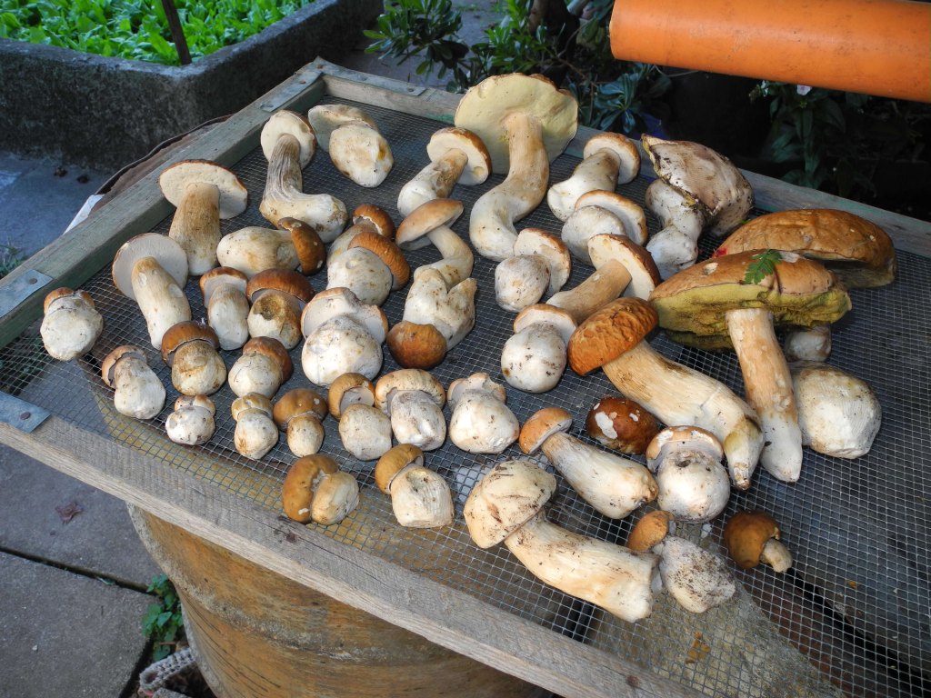 E anche il mio Martin