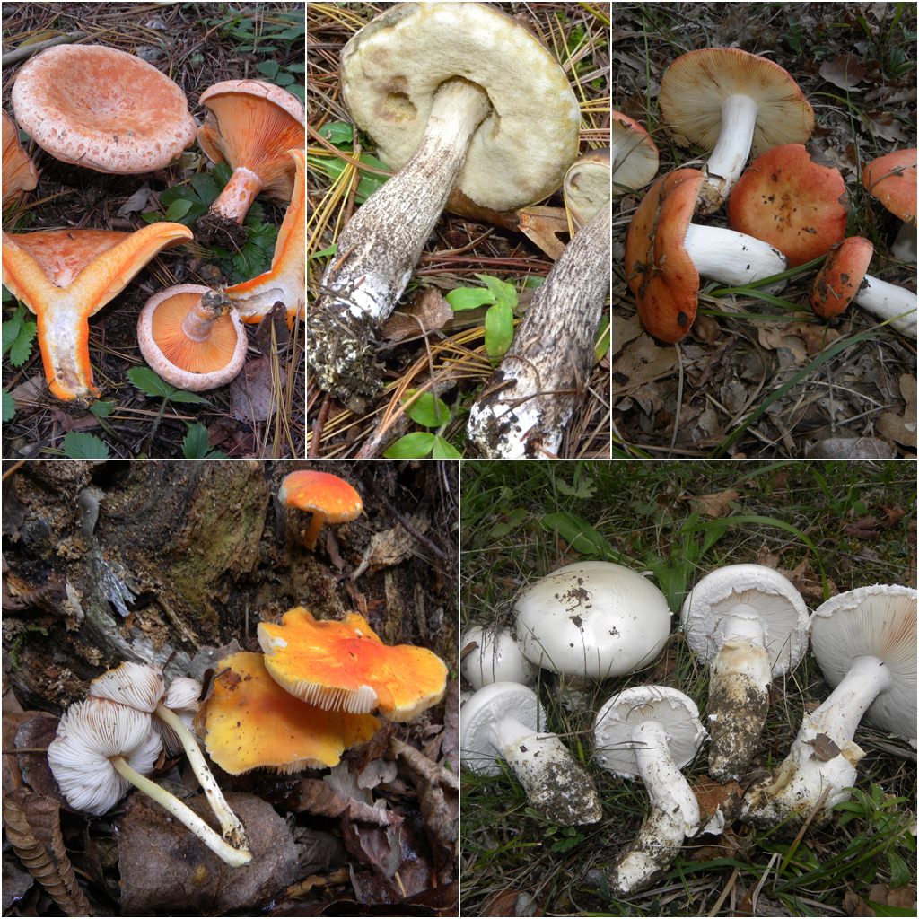 ...ultima bellissima giornata!