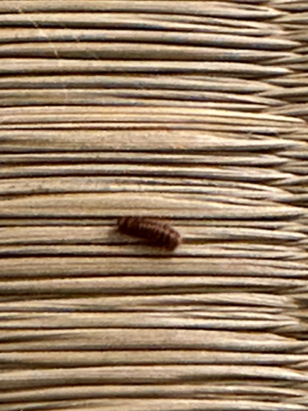 Identificazione e rimedi