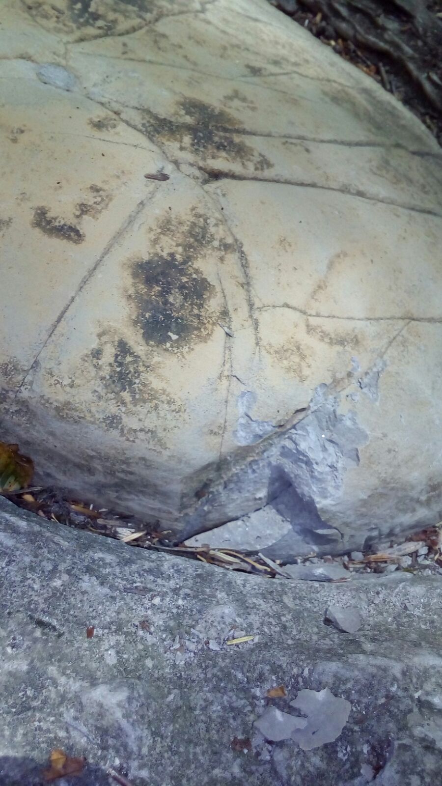 inclusione interessante