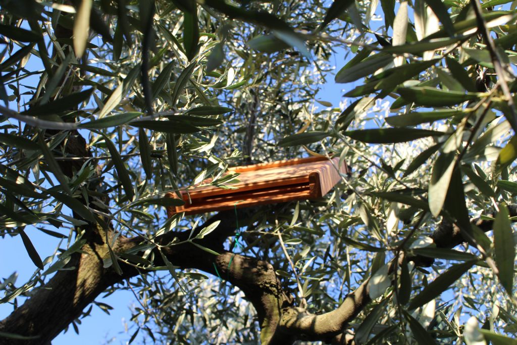 Azienda agricola amica della biodiversit