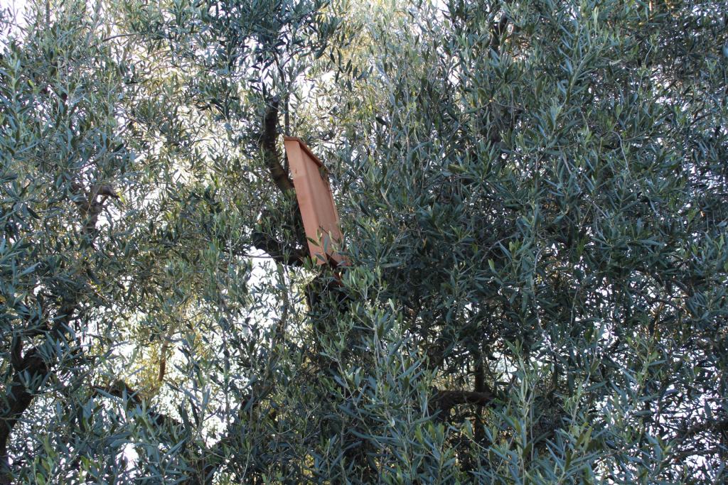 Azienda agricola amica della biodiversit