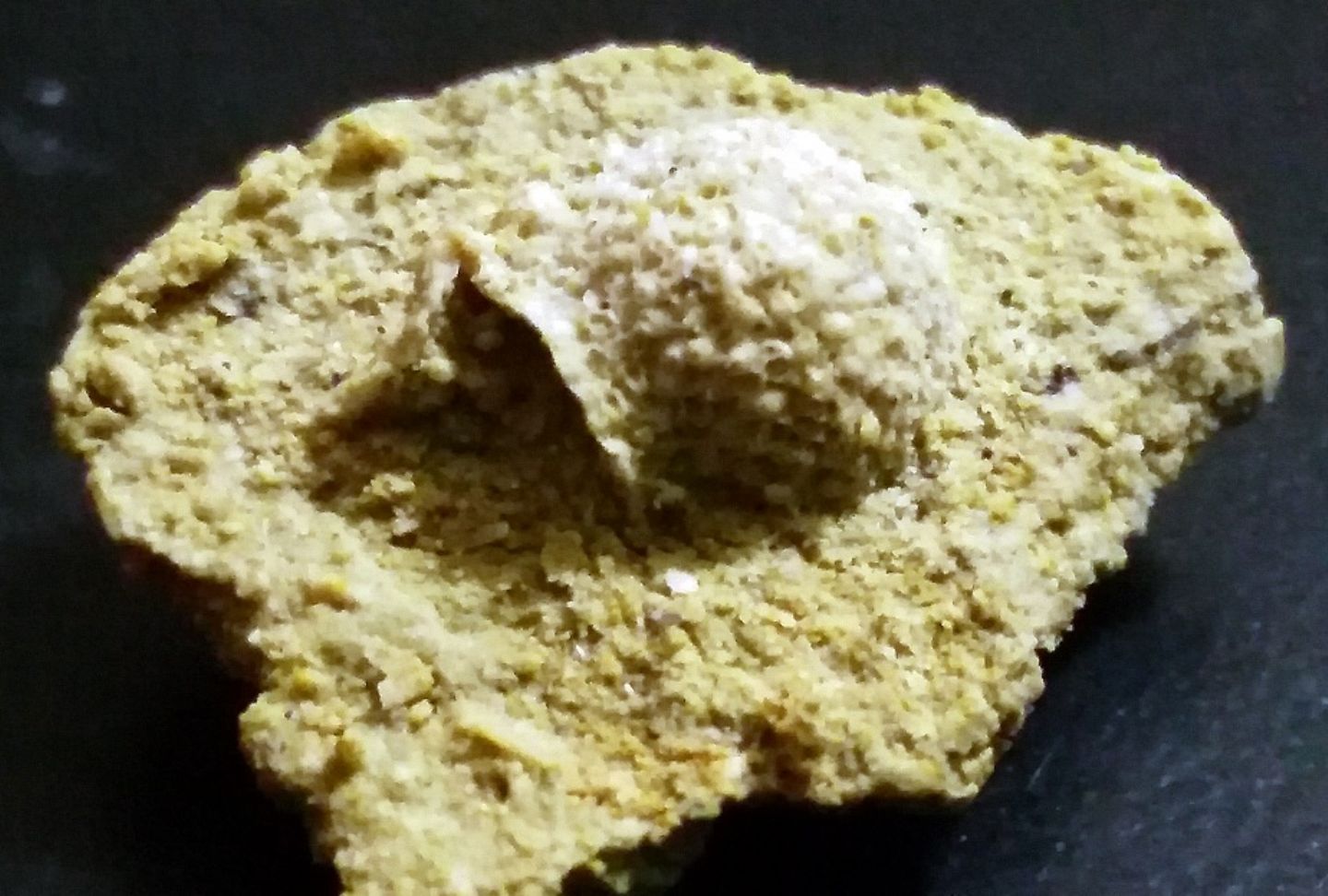 Fossile non identificato, calcare sabbioso pliocenico