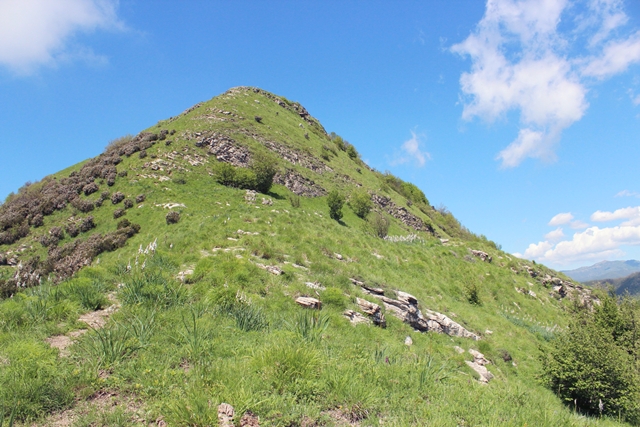 Alpesisa (GE)
