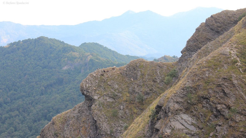 Passo del Portello - Monte Lavagnola