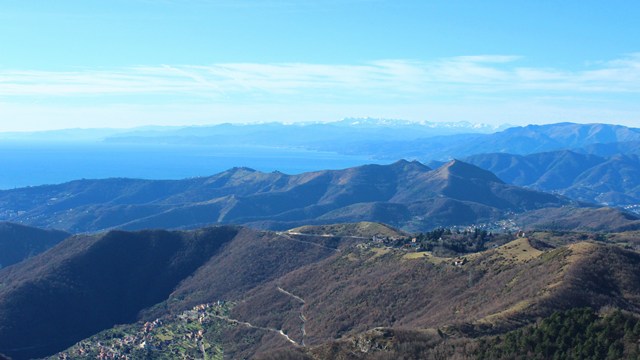 Alpesisa (GE)