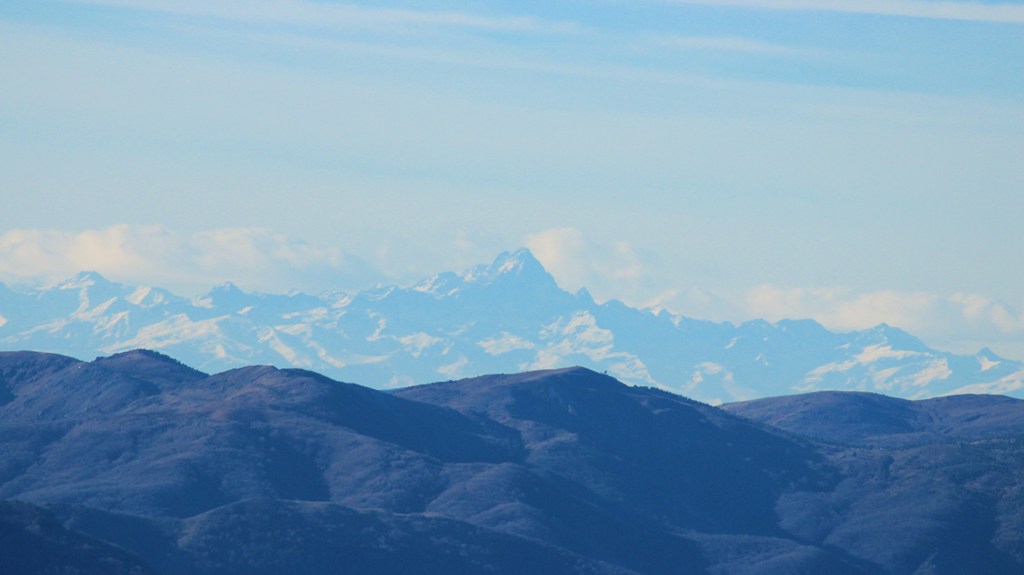 Alpesisa (GE)