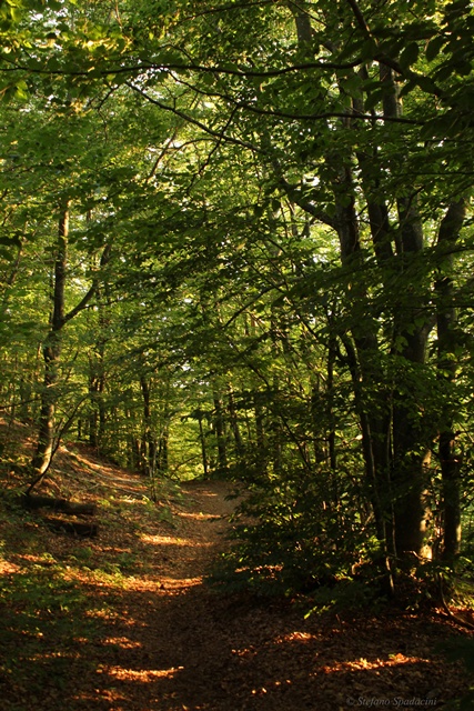 Passo del Portello - Monte Lavagnola