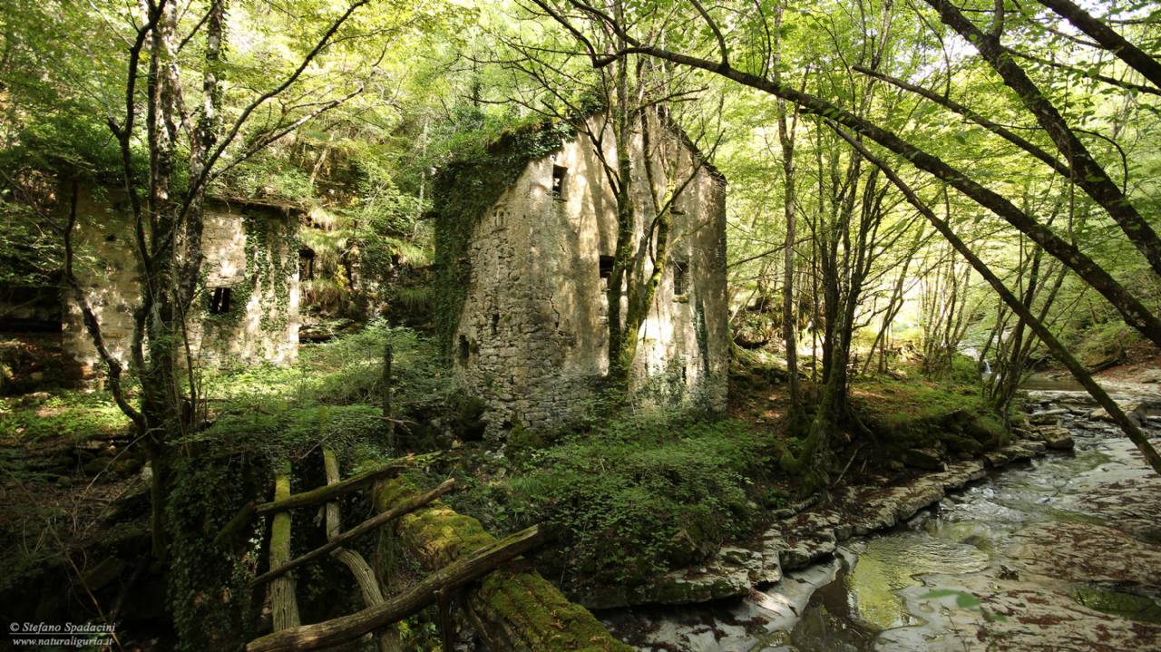 Mulini di Tonno, Valbrevenna