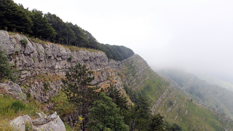 Anello della Faggeta del Monte Zatta (Appennino Ligure)