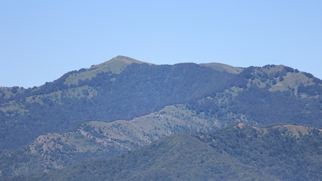 Alpesisa (GE)