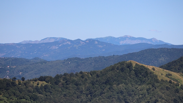 Alpesisa (GE)