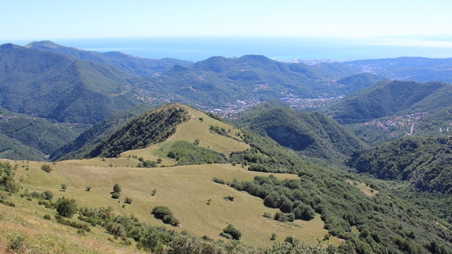 Alpesisa (GE)
