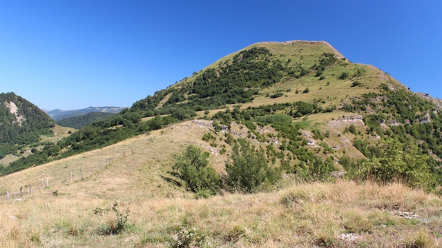 Alpesisa (GE)