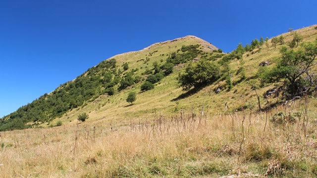 Alpesisa (GE)