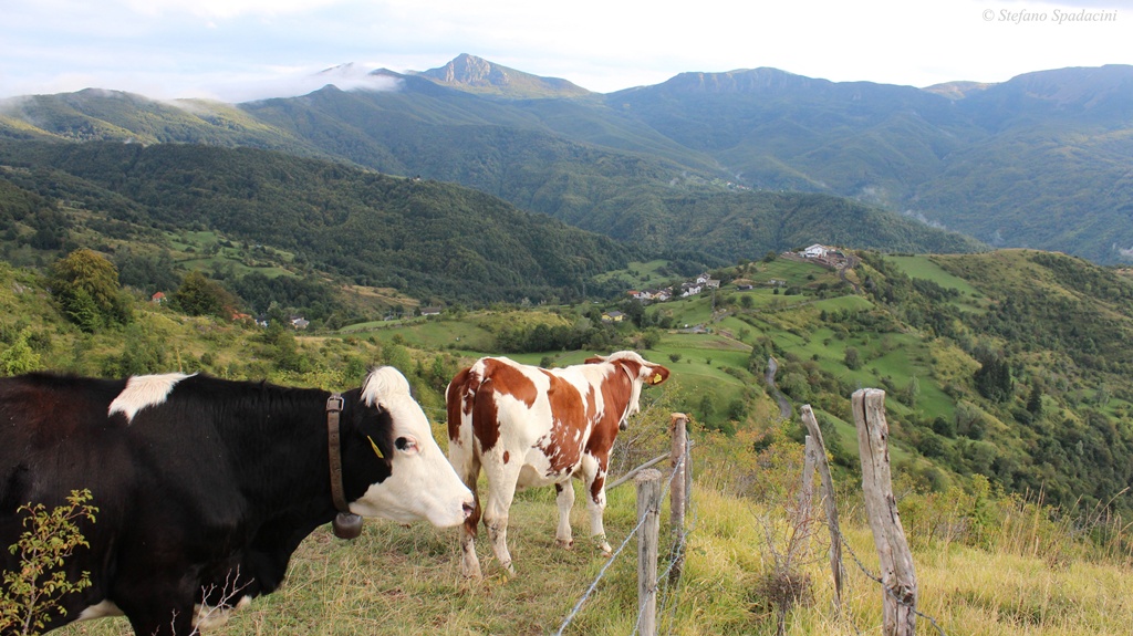Angolo di Svizzera Ligure